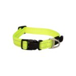 Rogz-utility-collar-dayglo