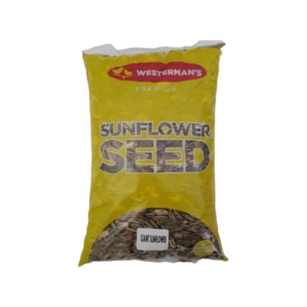 W-GIANT-SUNFLOWER-2