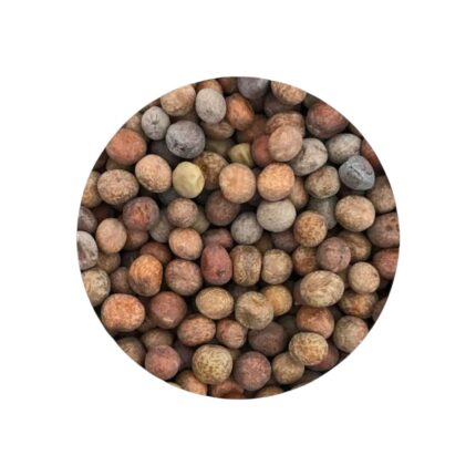 W-MAPLE-PEAS