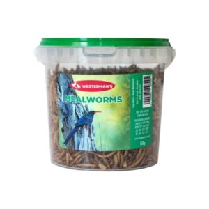W-MEALWORMS