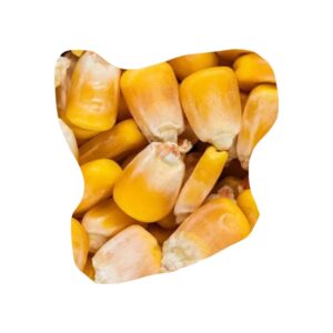 juava-whole-maize-reg