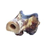 nandoe-joint-bone