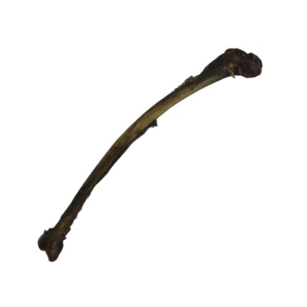 nandoe-wing-bone