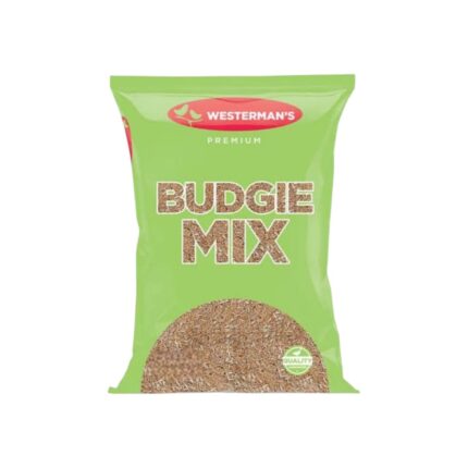 w-budgie-2