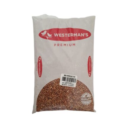 w-red-sorghum-2