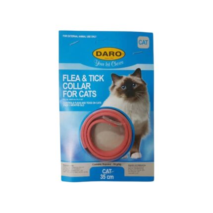 Daro-tf-collar-cat