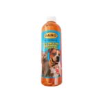 daro-tea-tree-shampoo