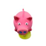 nl-dogf-squeaky-pig-toy