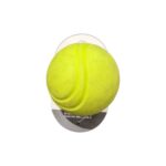nl-hard-rubber-ball