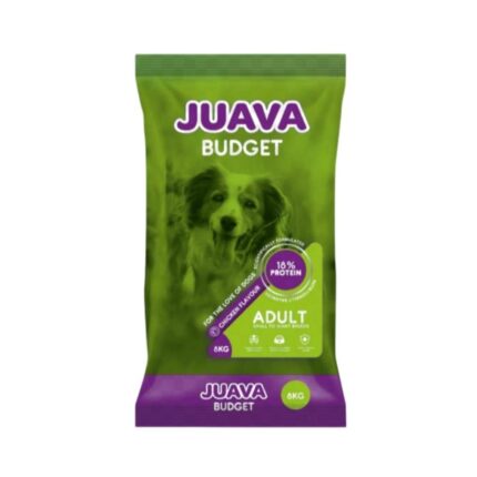 Juava-budget-new-2